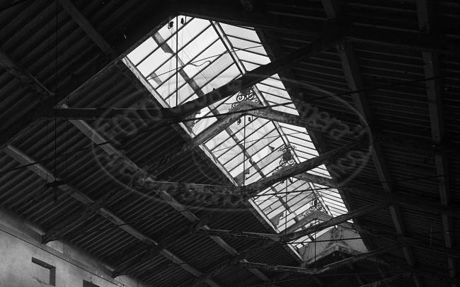 ARCHIVIO STORICO FOTOGRAFICO
	Richiedi i file o le stampe
